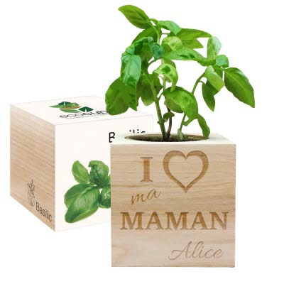 Ecocube I love Maman