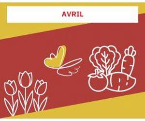 Sélection du mois - AVRIL