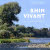 Rhin vivant.