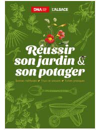 Sélection du mois - AVRIL