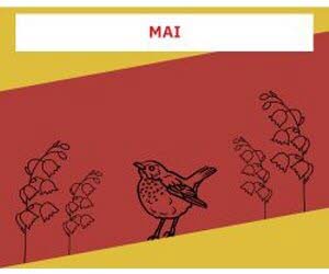 Sélection du mois - MAI