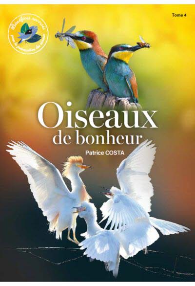 Oiseaux de bonheur - TOME 4